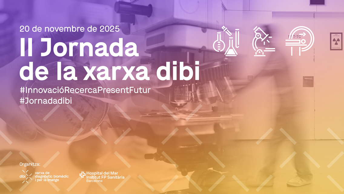 Innovació i recerca a la II Jornada de la xarxa dibi