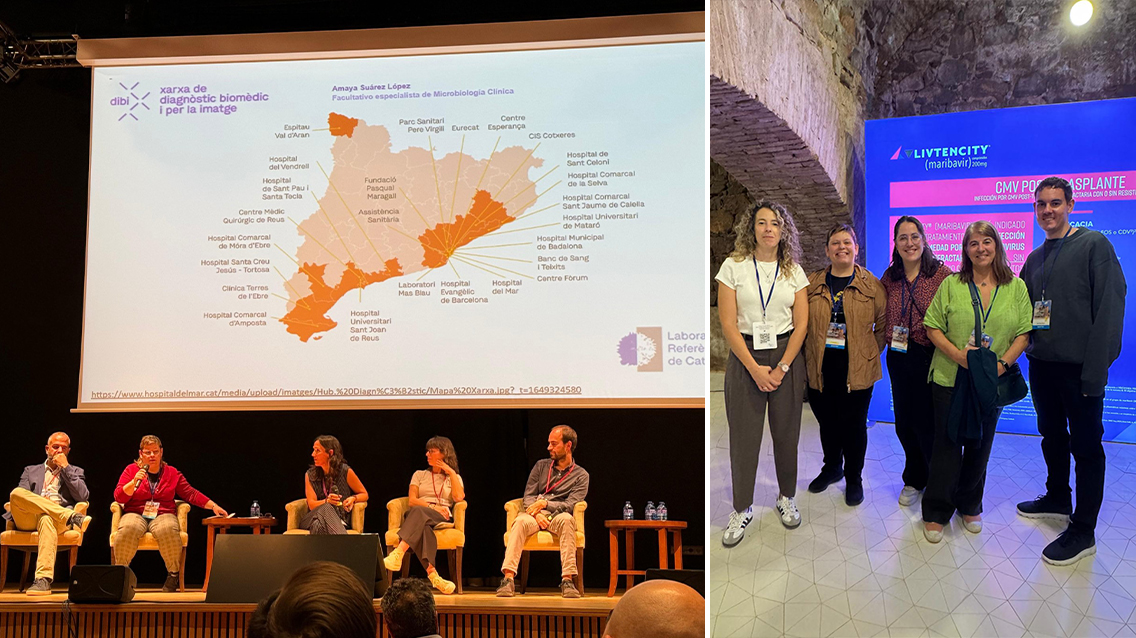 067_Jornades SCMIMC_dibi