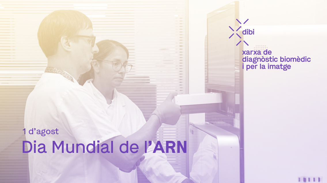 Dia Mundial de l'ARN xarxa dibi