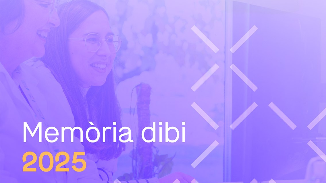 Memòria anual 2025_dibi