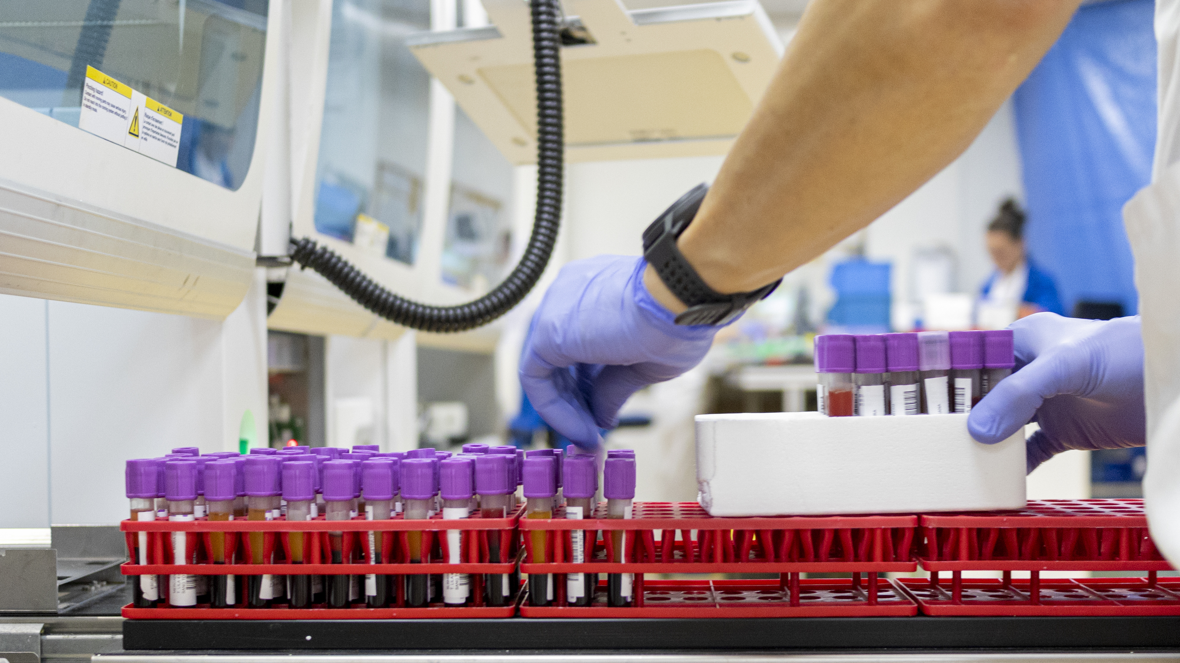 Eurecat i la xarxa dibi inicien una nova col·laboració Eurecat i la xarxa dibi inicien una nova col·laboració