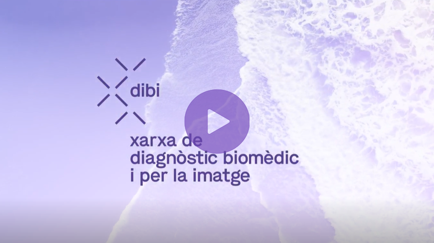 Nou vídeo de presentació de la xarxa dibi