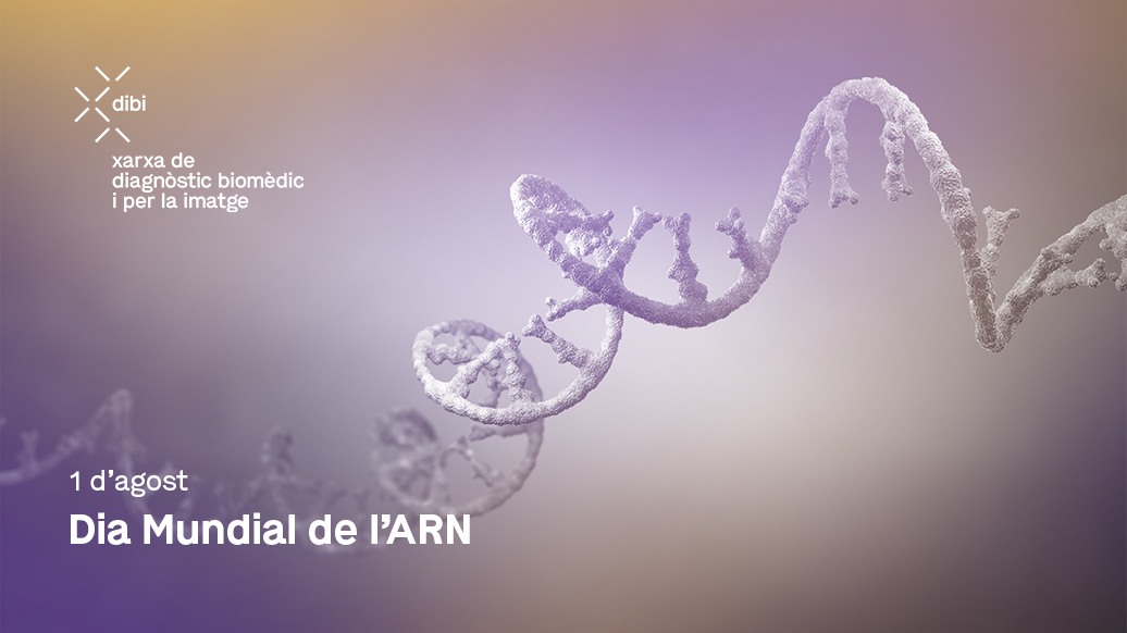 Dia Mundial de l’ARN Dia Mundial de l’ARN