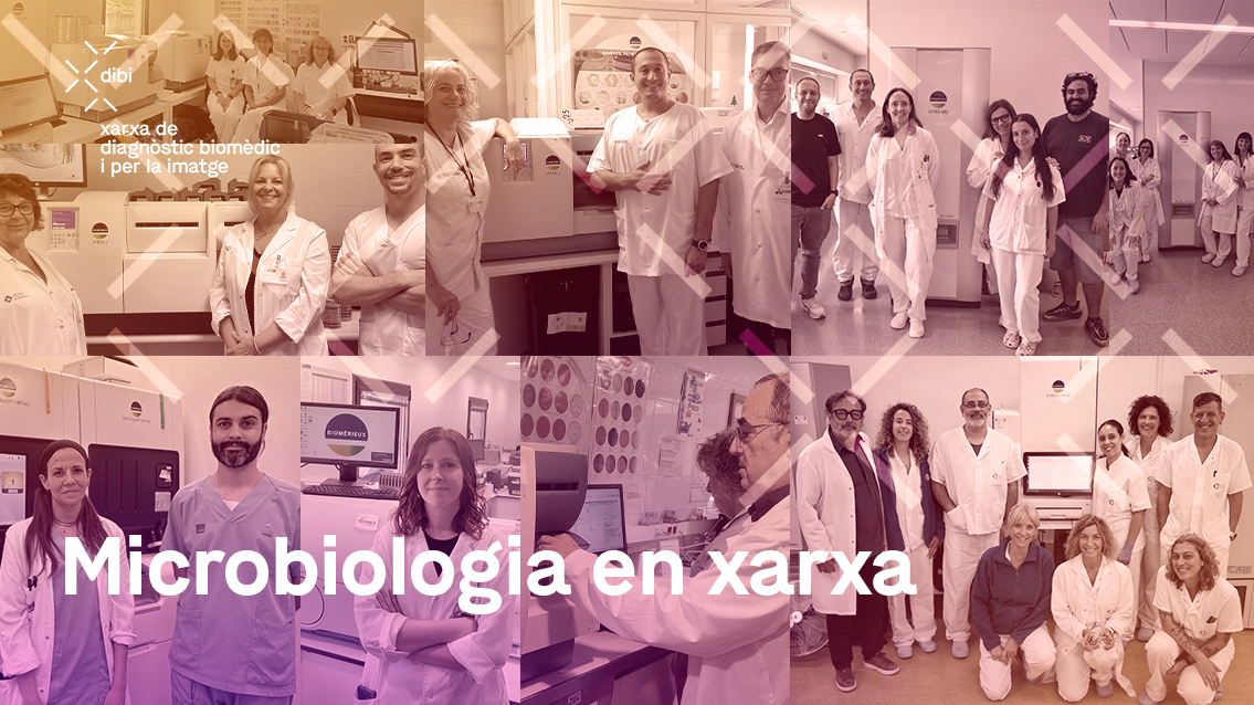 056_Microbiologia en xarxa