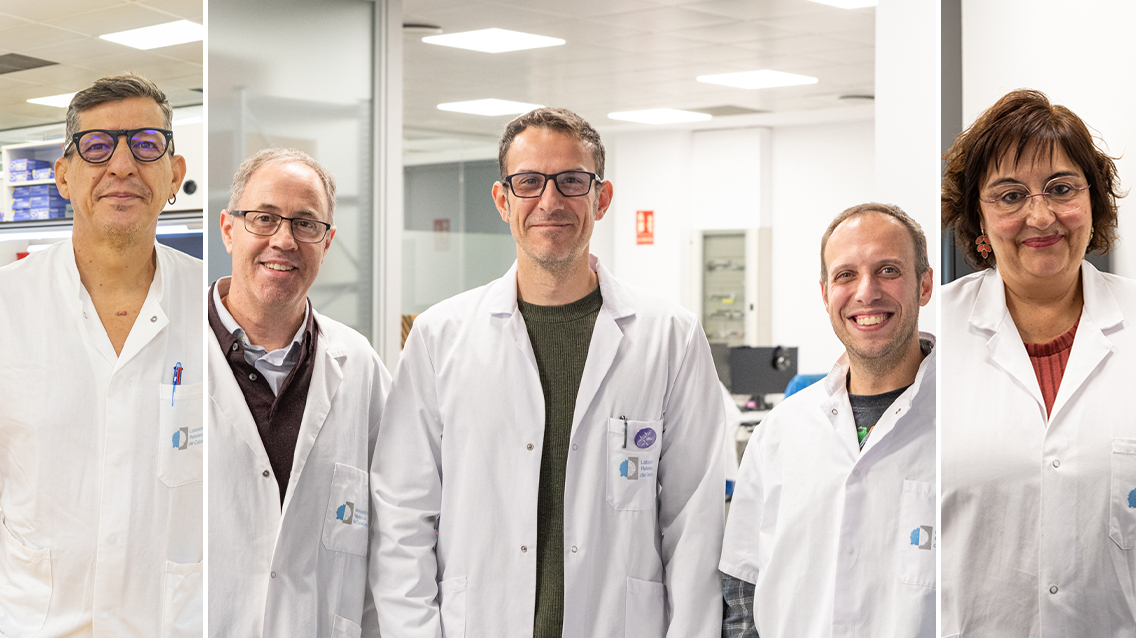 dibi pionera automatització microoganismes SIVEC