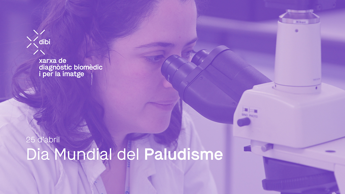 Dia Mundial Del Paludisme