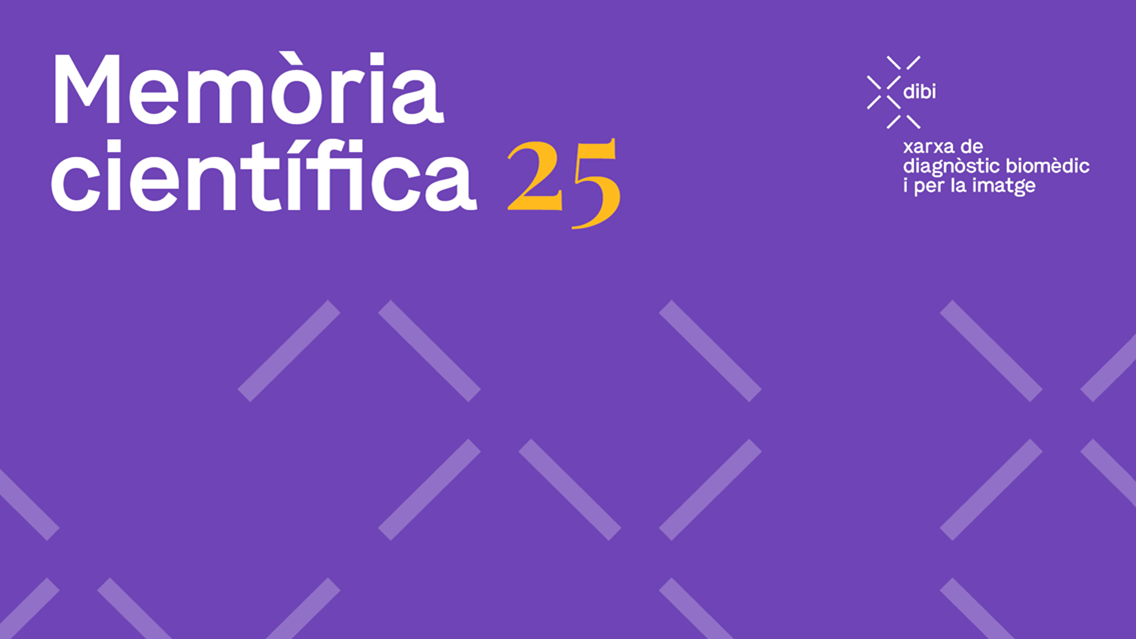 Memoria científica 2025 dibi 