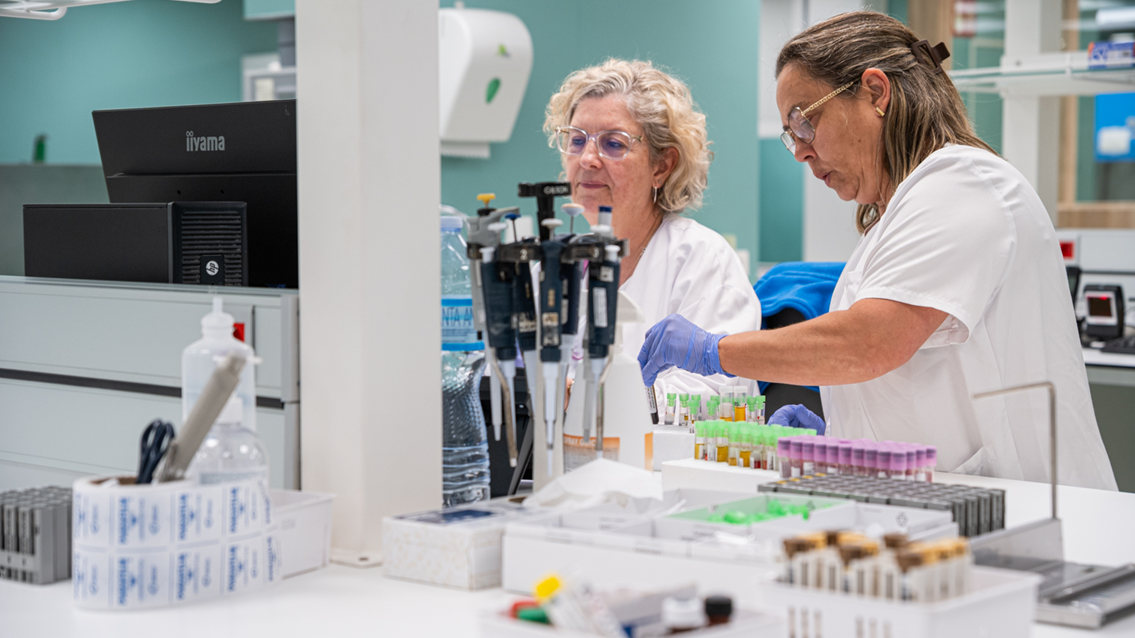 Renovació laboratori Hospital de Calella_dibi